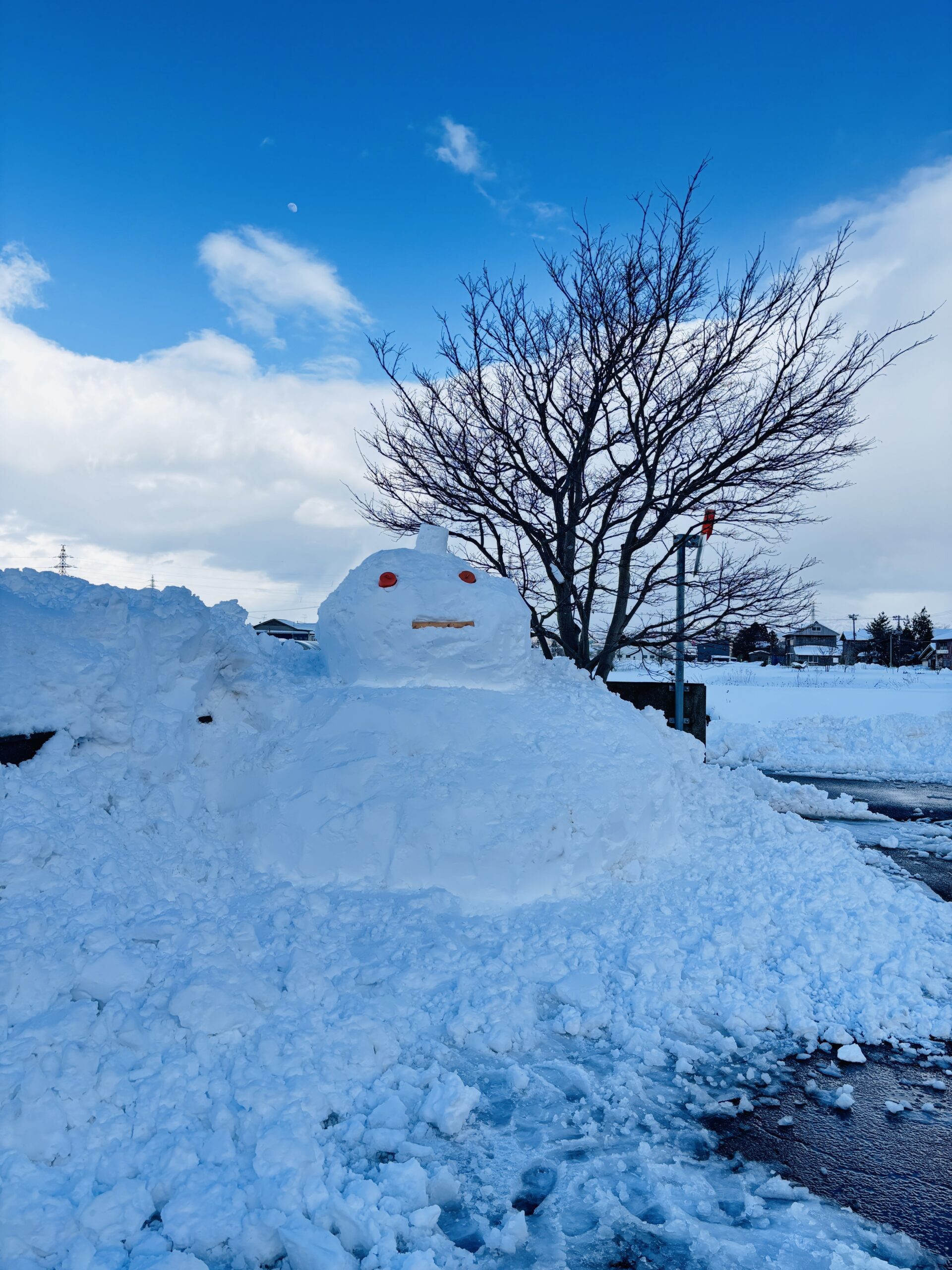 2月になりました❄️